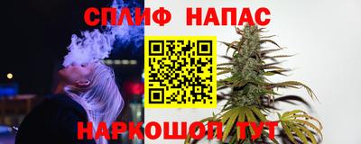 амф Новокубанск