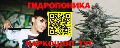 метадон Новозыбков