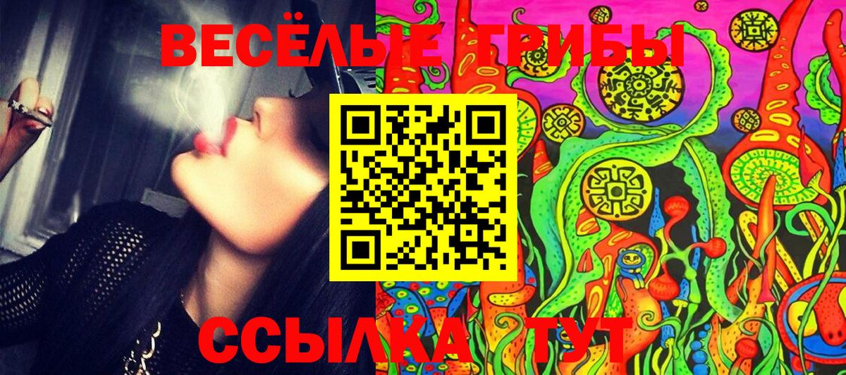Галлюциногенные грибы ЛСД Удомля